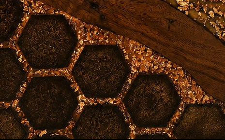 Close-up of a honeycomb structure with bees inside, showing hexagonal cells.